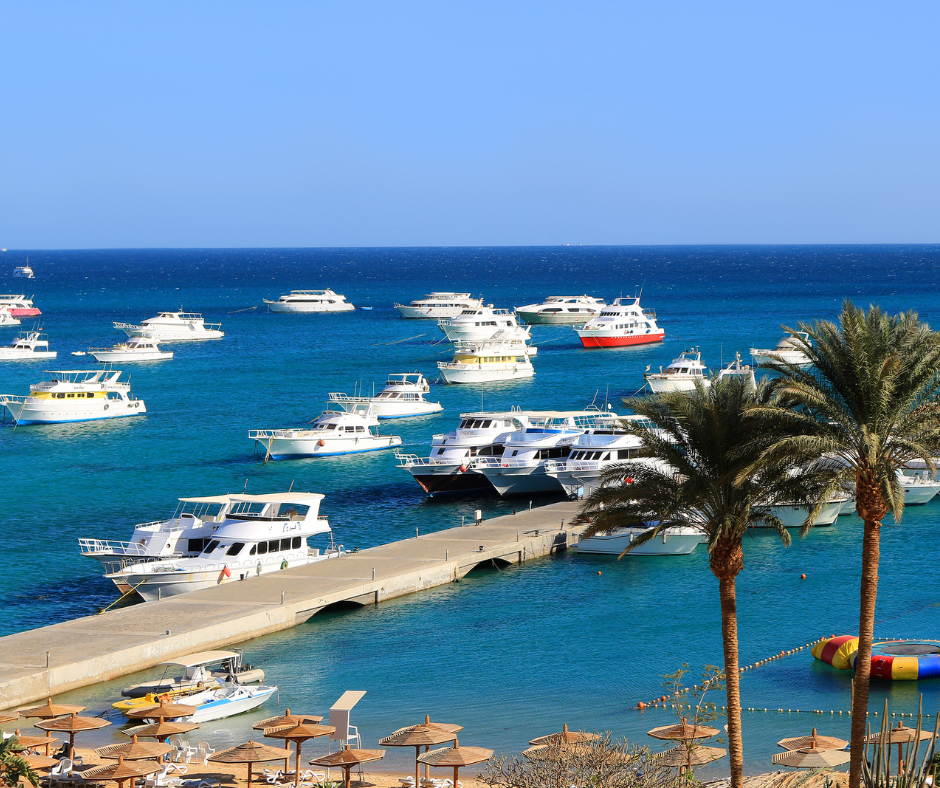                                     HURGADA, MARSA ALAMA
                                  