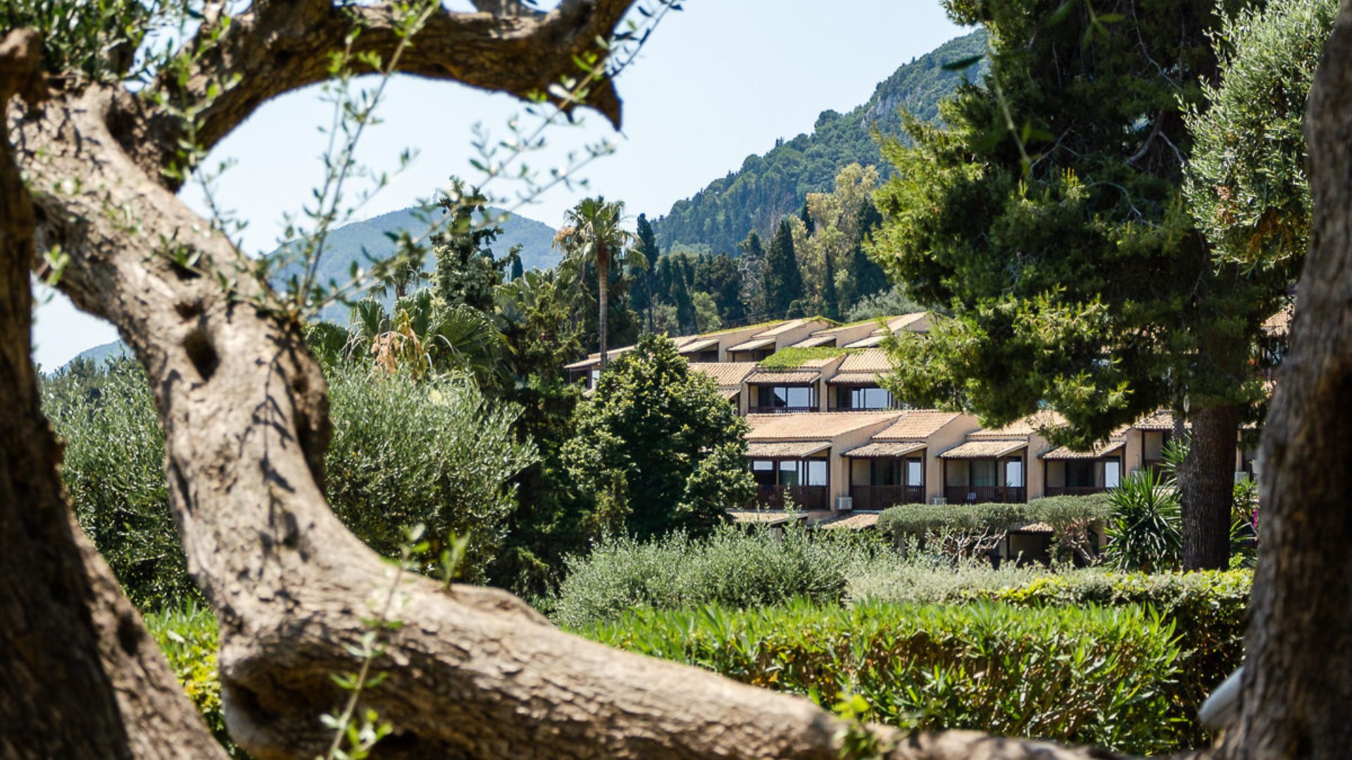                                     Aeolos Beach Resort Corfu 4*
                                  