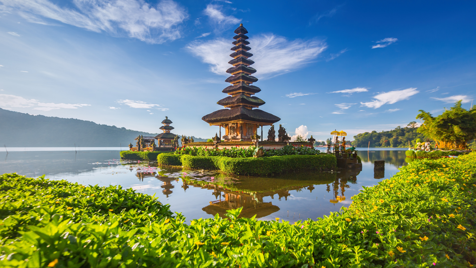                                     BALI
                                  