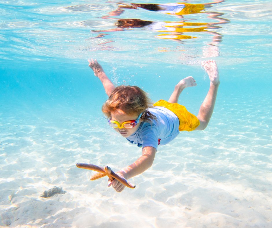                                     VASARAS BRĪVLAIKS Ēģiptē
                                  