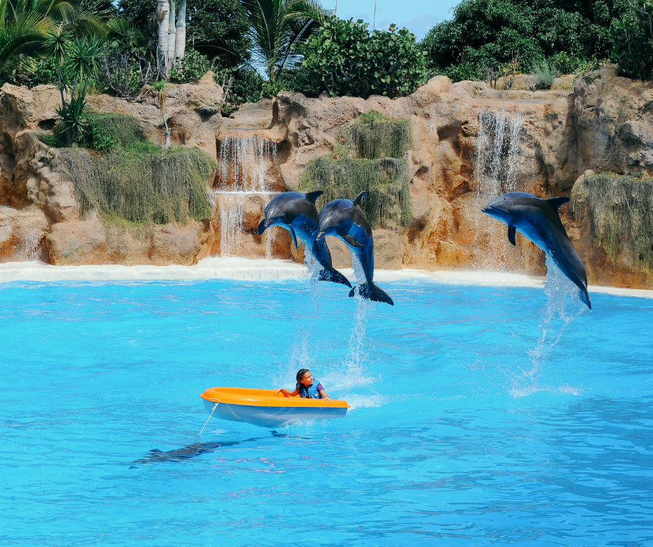                                     ZIEMASSVĒTKU BRĪVLAIKS Kanāriju salās
                                  