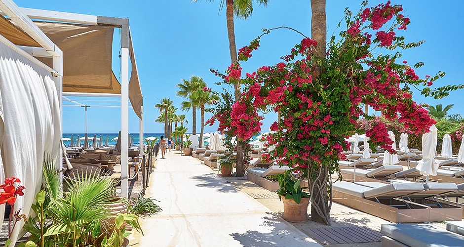  Tenerife 